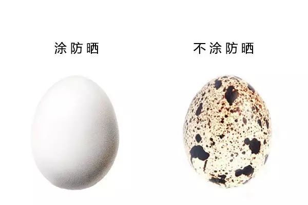 2018日本海淘最值得入手的日本防晒霜推荐